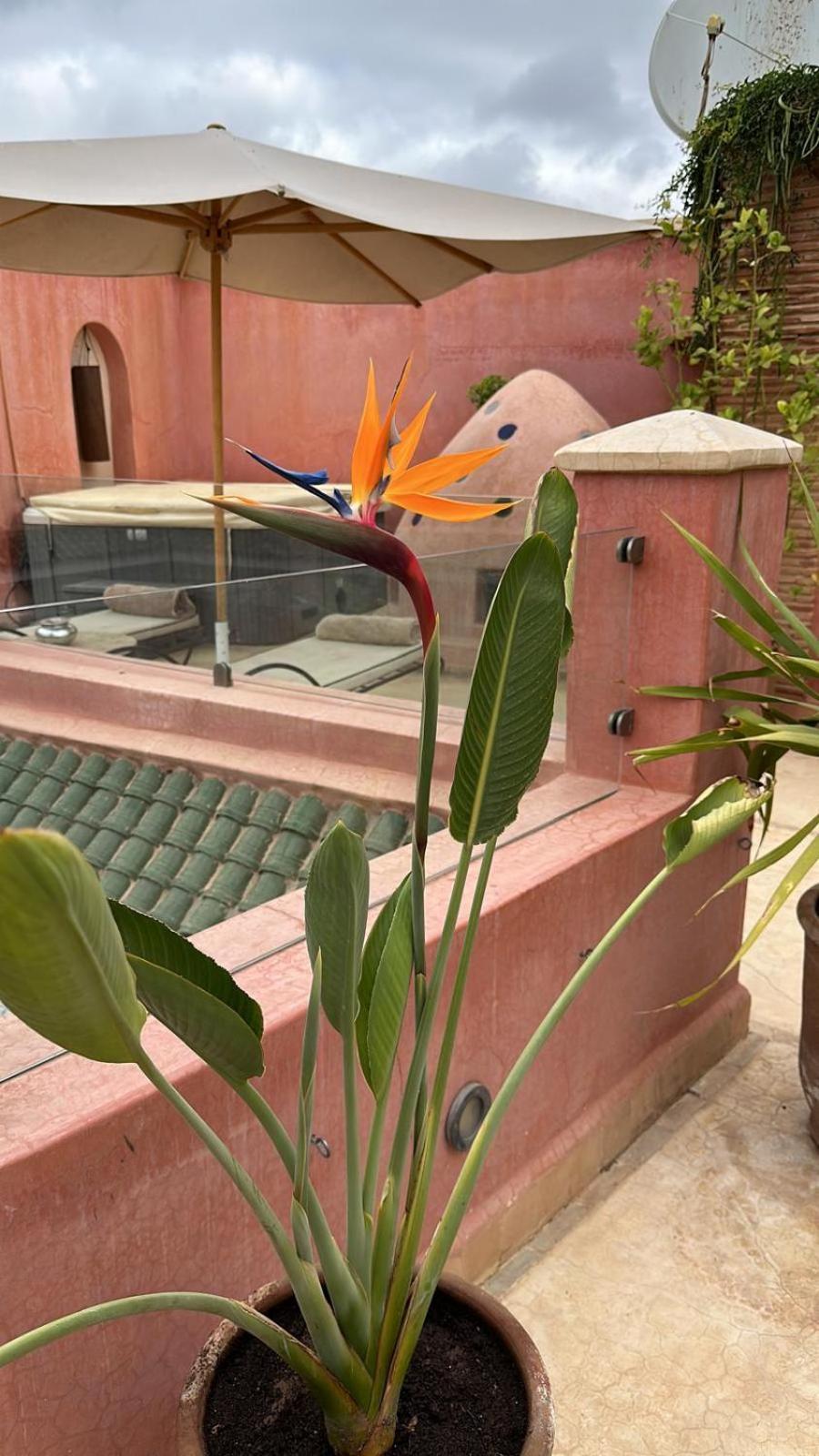 Riad Dar Ten Марракеш Экстерьер фото